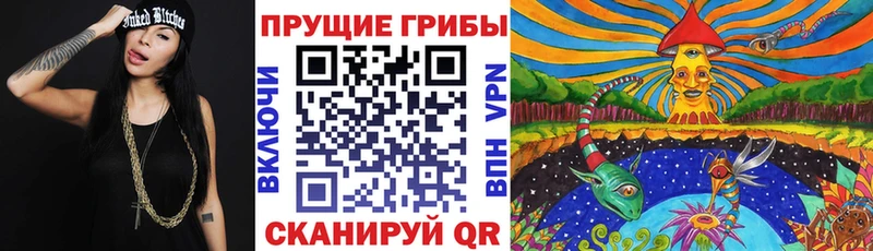 наркота  Спасск  blacksprut   Псилоцибиновые грибы Cubensis 
